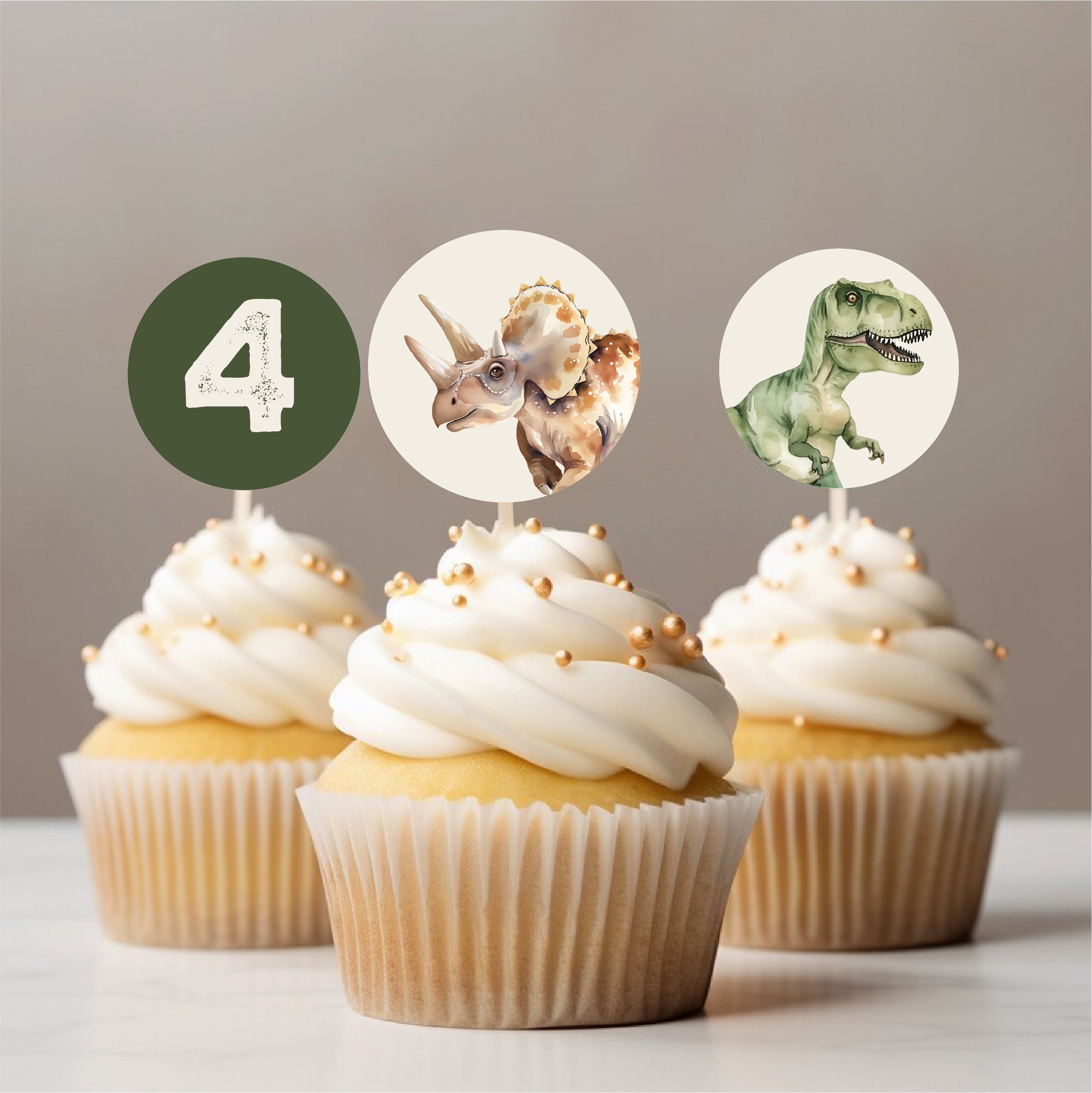 Dinosaur Party Printables Editable Instant Download 214