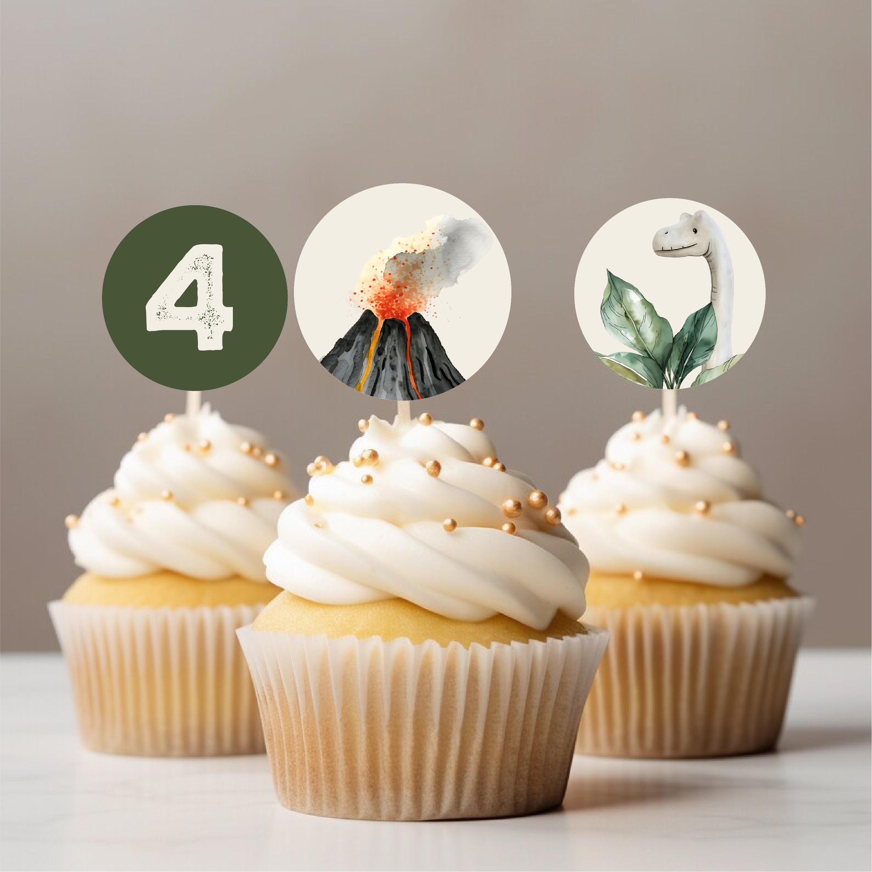 Dinosaur Party Printables Editable Instant Download 214