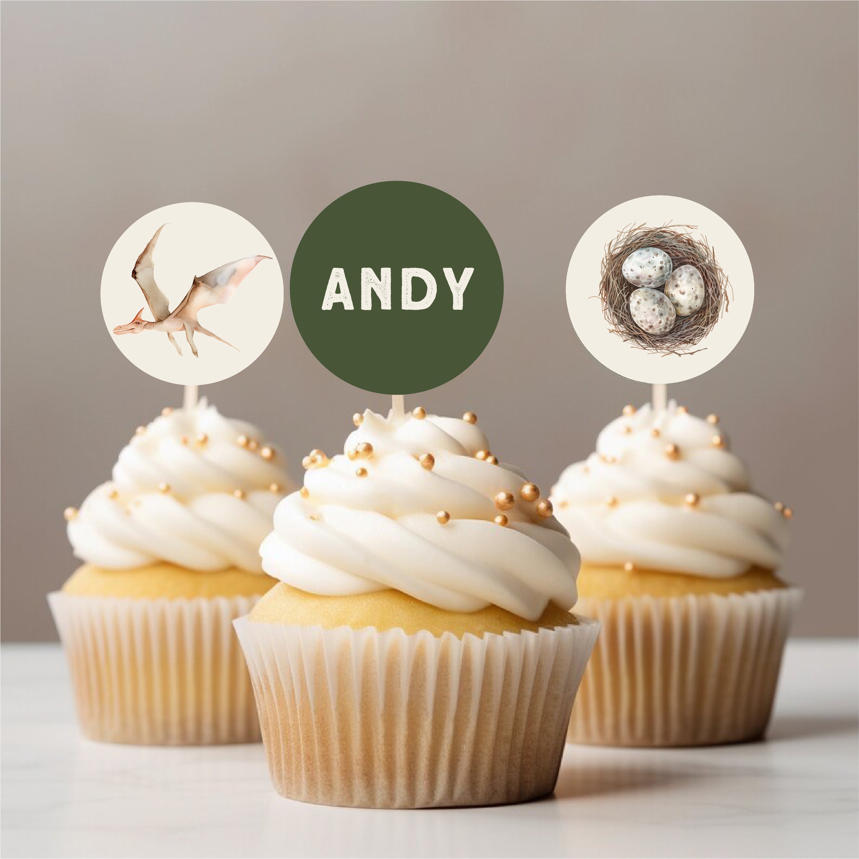 Dinosaur Party Printables Editable Instant Download 214