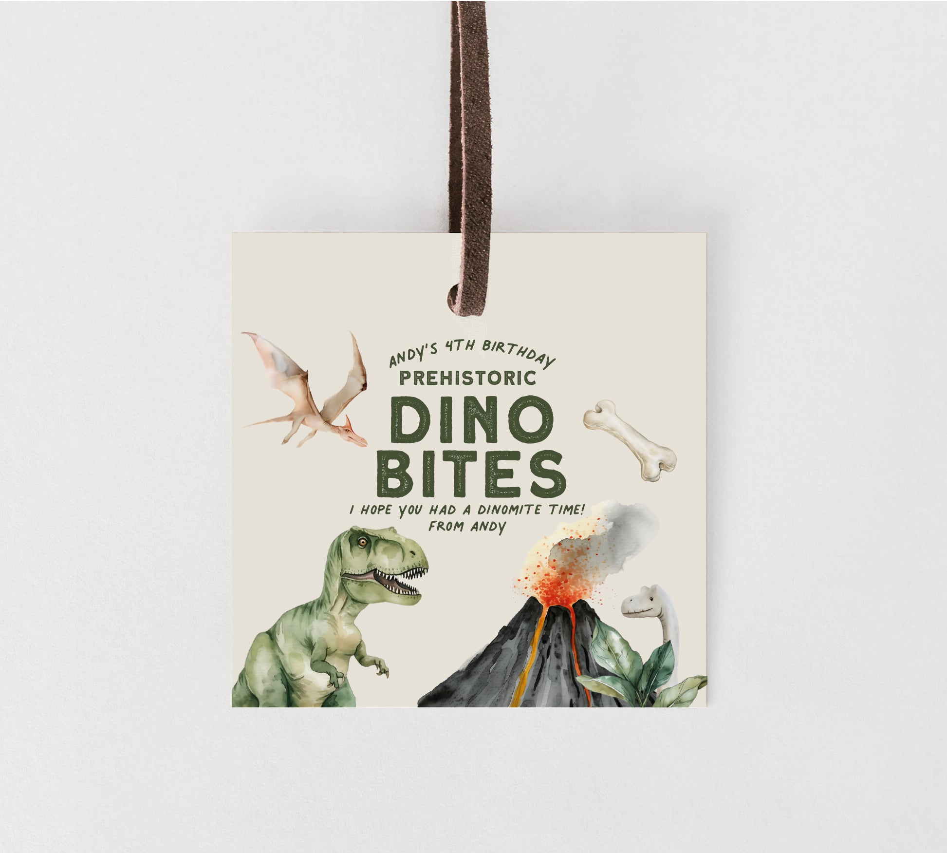 Dinosaur Party Printables Editable Instant Download 214