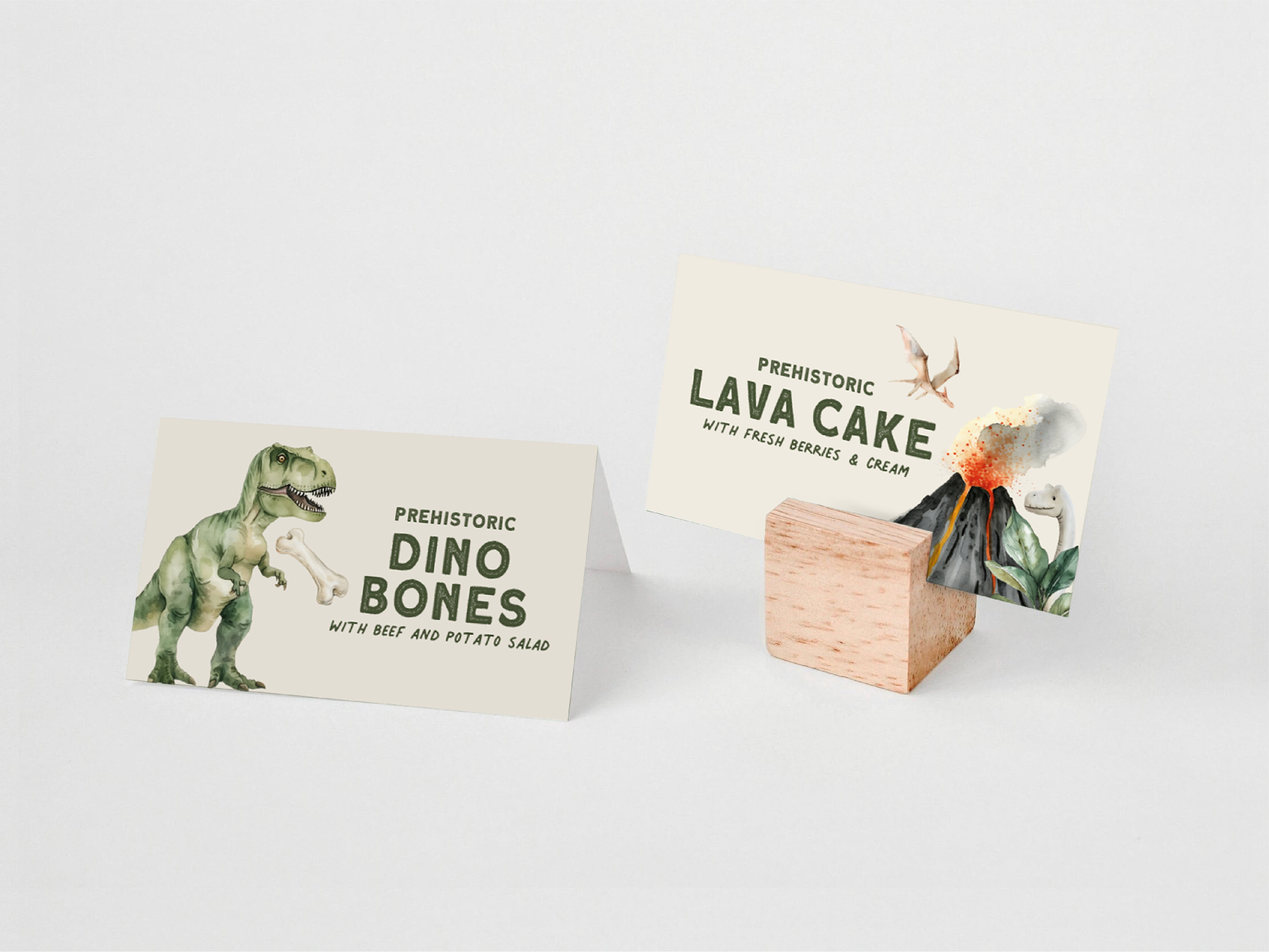 Dinosaur Party Printables Editable Instant Download 214