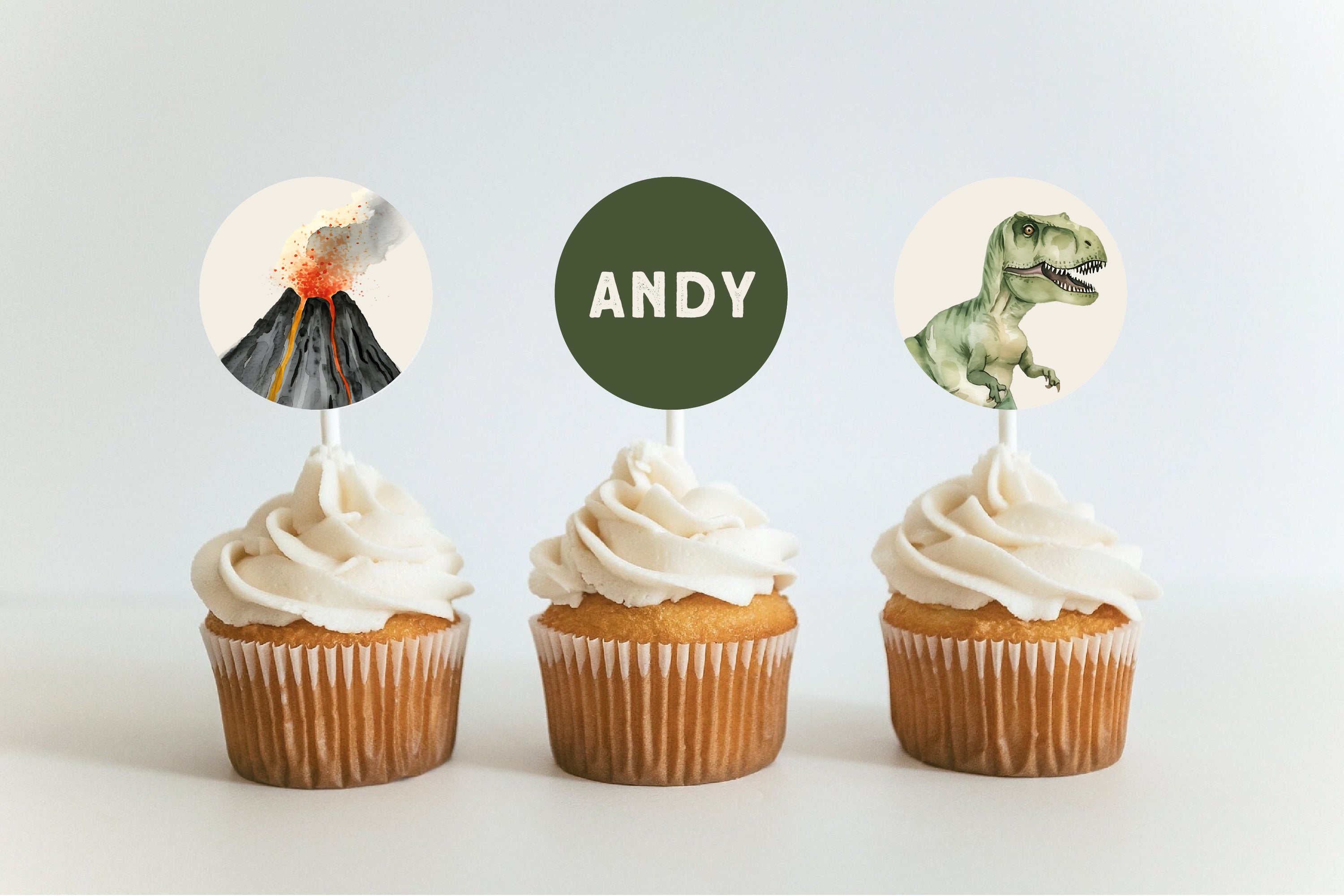 Dinosaur Party Printables Editable Instant Download 214