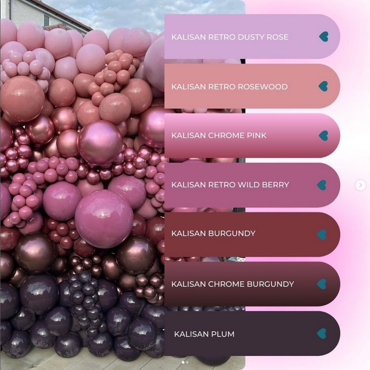 Kalisan Retro Wild Berry Latex Balloons Kalisan