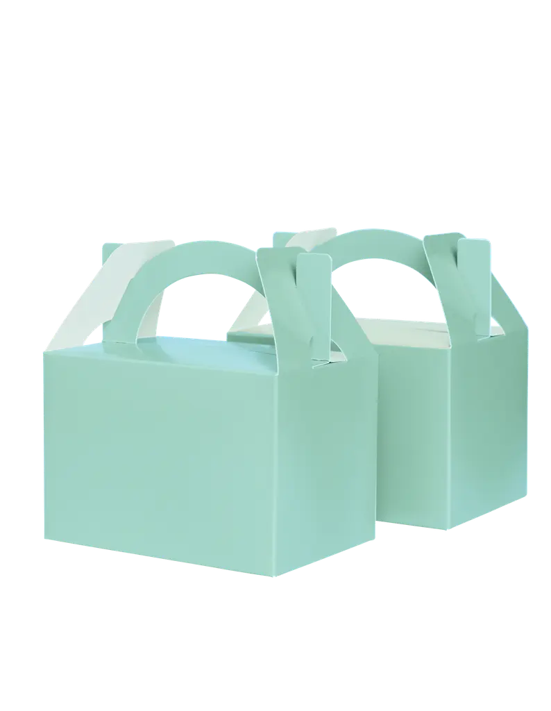 Mint Candy Favour Gift Boxes (Pack of 10) Party Love