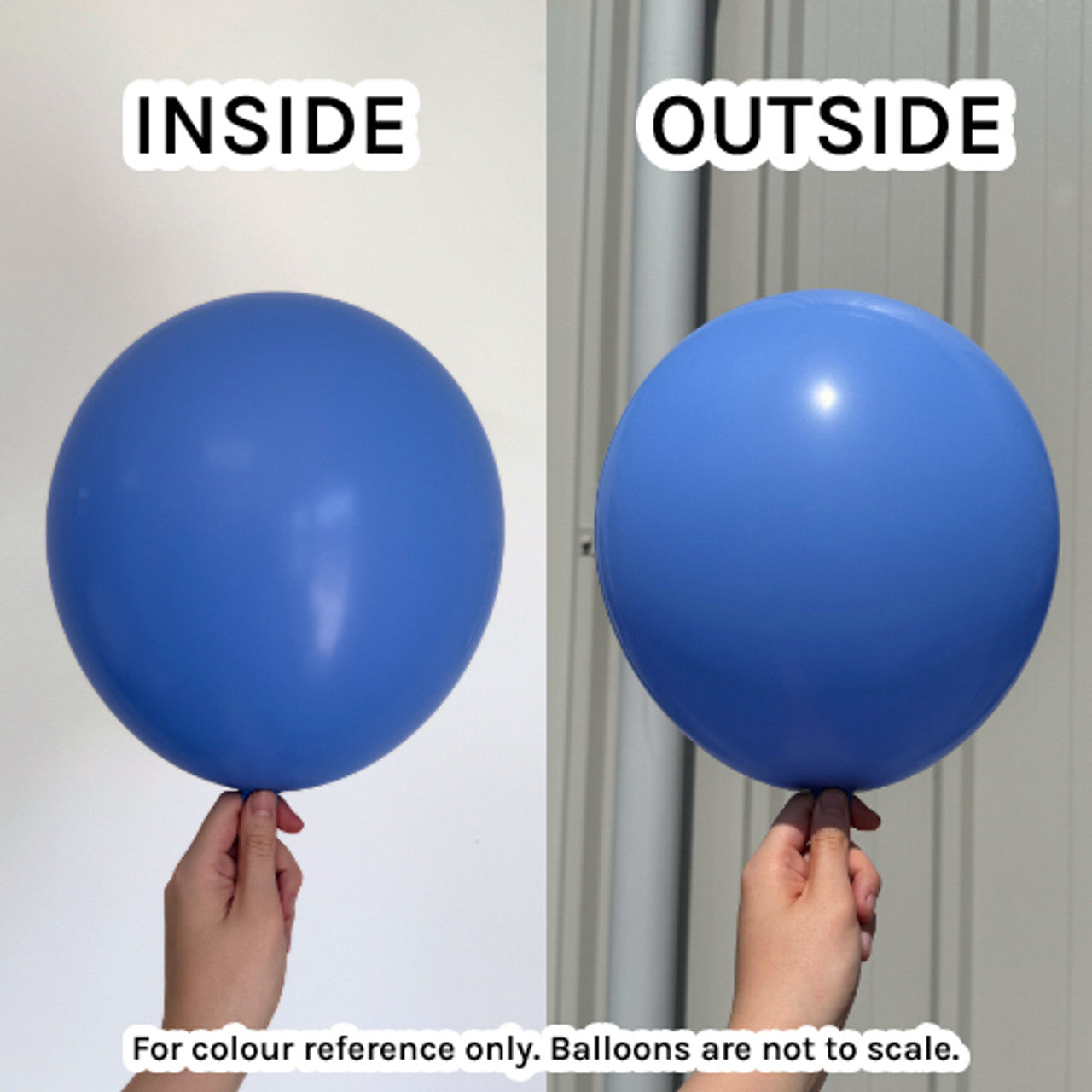 Sempertex Periwinkle 042 Latex Balloons