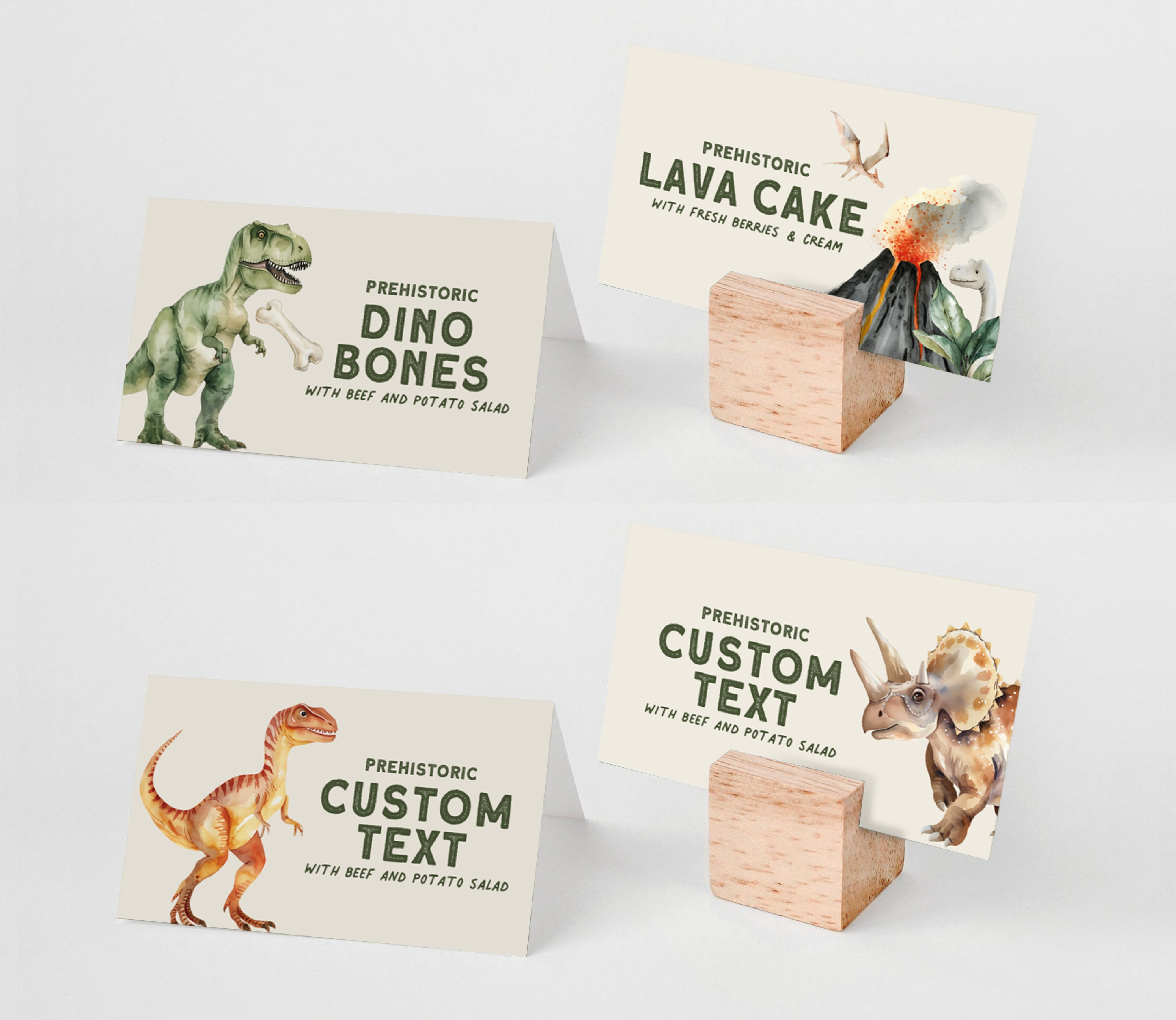 Dinosaur Party Printables Editable Instant Download 214