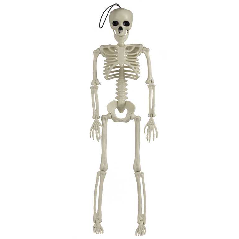 Hanging Halloween Skeleton Decoration Ginger Ray
