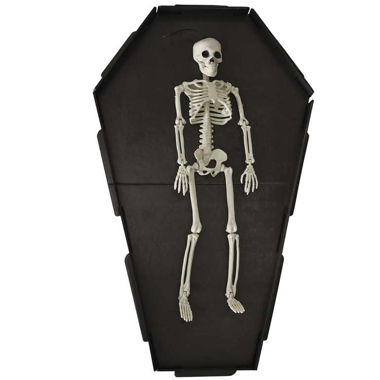 Black Coffin Halloween Grazing Board Ginger Ray