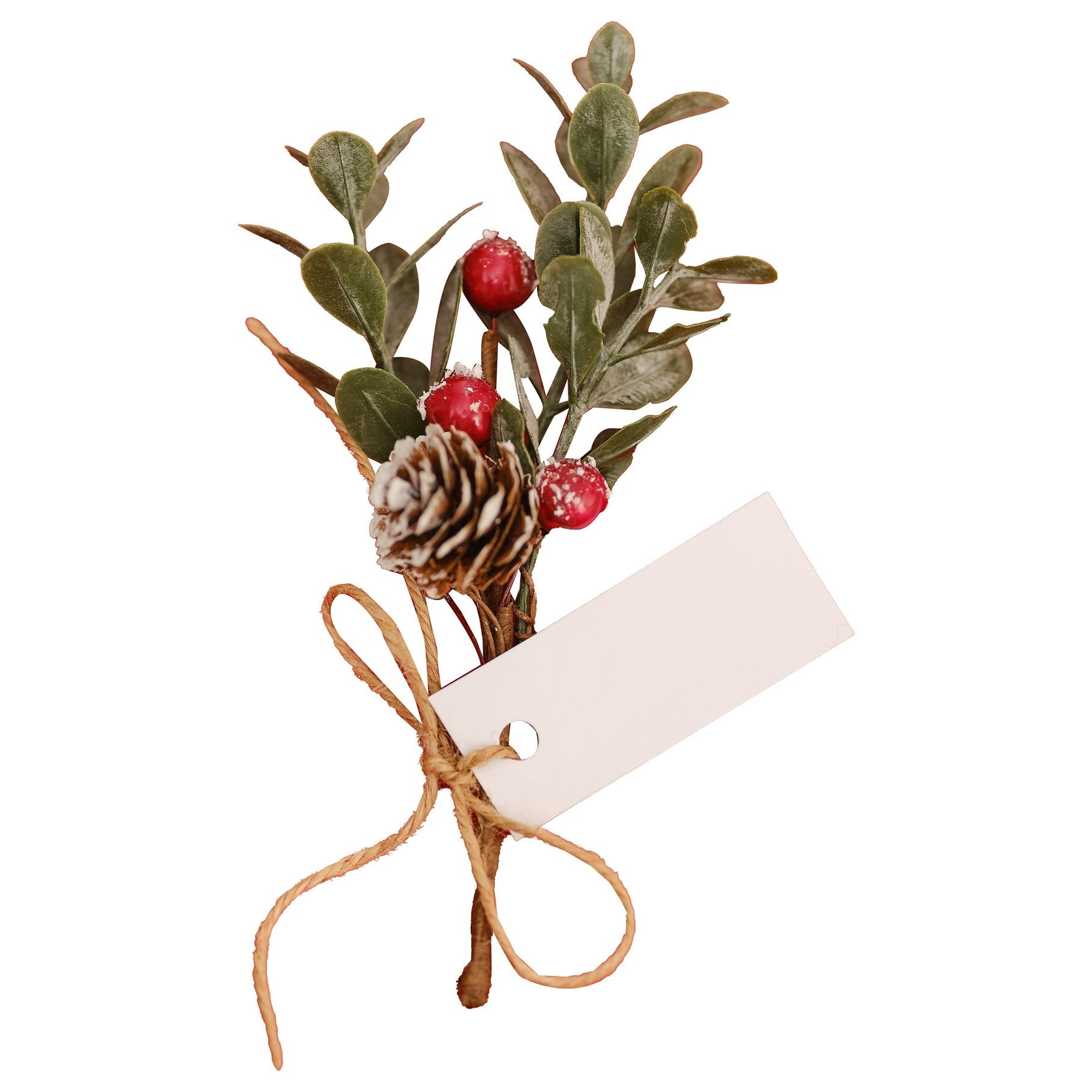 Red Berry Sprig Place Card Holders(6 Pack) Ginger Ray